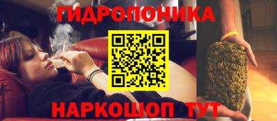 прущая мука Лесосибирск