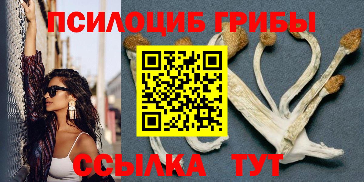 Псилоцибиновые грибы мицелий Губкин