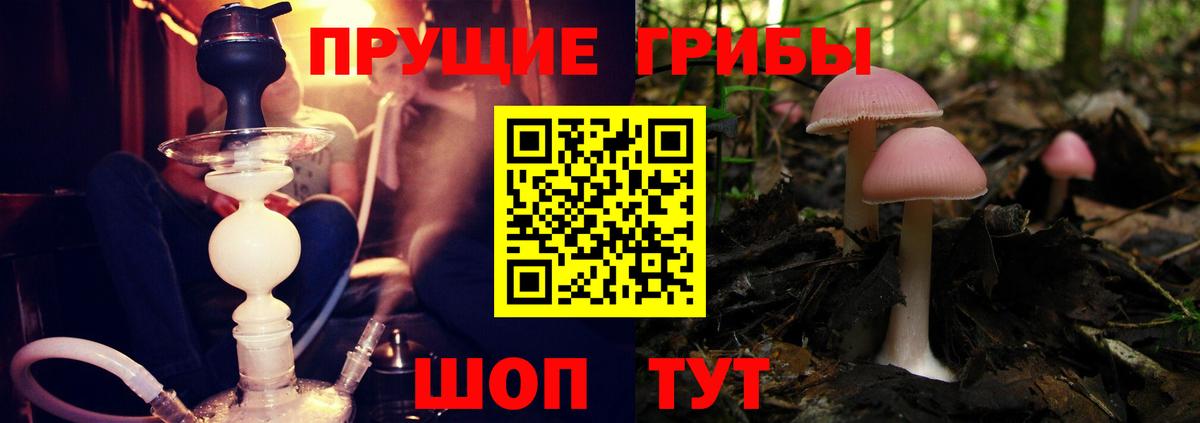 Псилоцибиновые грибы Magic Shrooms  Вход с VPN  Губкин  Псилоцибиновые грибы мицелий 